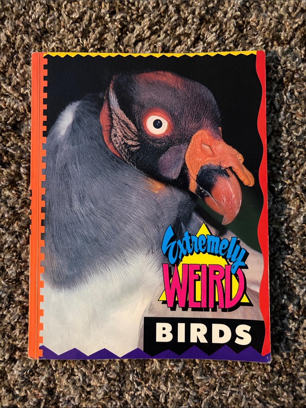 Extremely Weird Birds Soft Cover Book - by Sarah Lovett, Nonfiction Animals